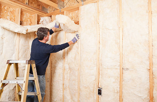 Best Eco-Friendly or Green Insulation Solutions  in Gladeville, TN